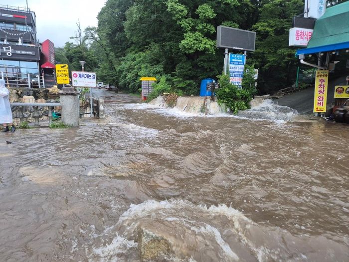  Mưa lớn gây lũ ở tỉnh Chungcheong, Hàn Quốc. Ảnh: YONHAP 