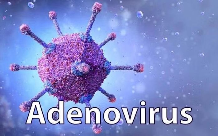 Sốt virus Adeno – một trong những bệnh lý phổ biến hiện nay. Ảnh minh họa