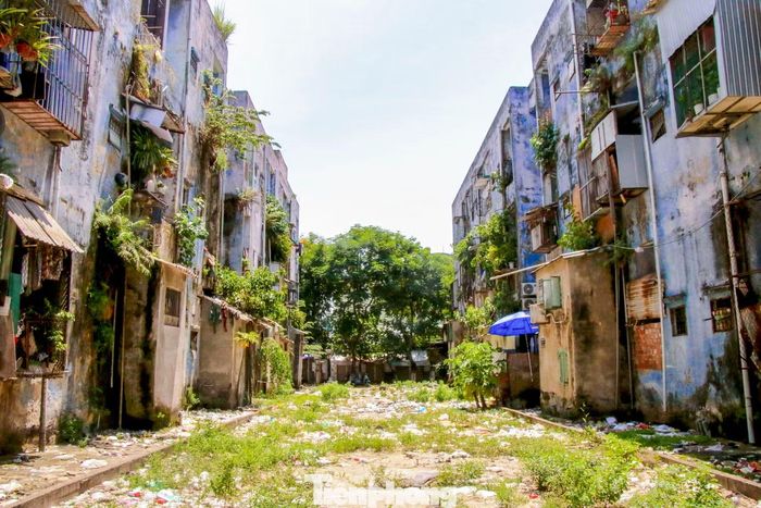 Chung cư Hòa Minh xuống cấp nghiêm trọng sau gần 30 năm sử dụng. Ảnh: Duy Quốc