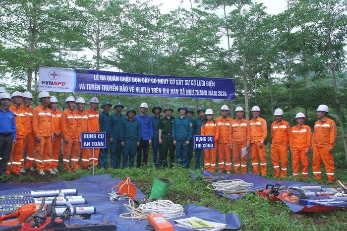 Ngành điện và các đơn vị có liên quan ra quân xử lý mất an toàn lưới điện.