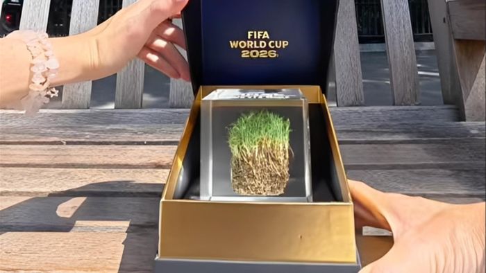 Những mảnh cỏ trên sân MetLife Stadium trận chung kết được bán với giá lên tới 3.000 USD (hơn 78 triệu đồng) và FIFA có thể thu về gần 290 tỷ đồng từ riêng thương vụ này. Ảnh: Chosun