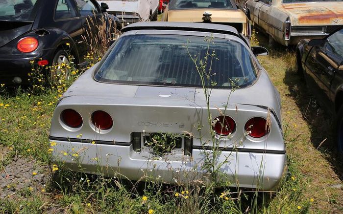 Chevrolet Corvette ZR-1 1990.