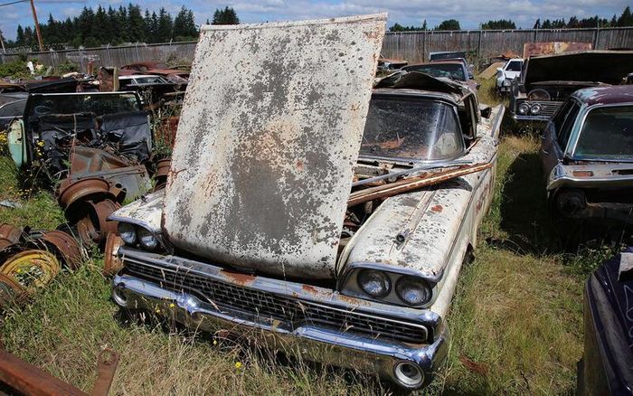 Ford Fairlane 500 Skyliner đời 1959.