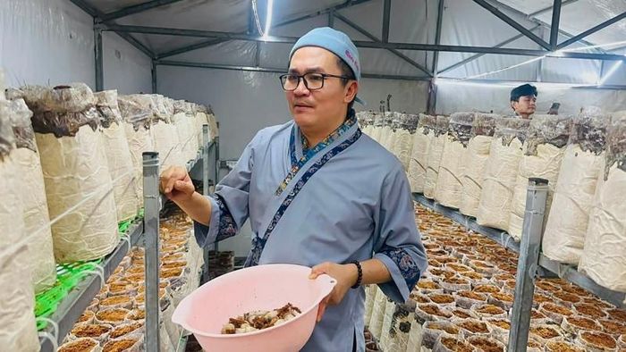 MC Đại Nghĩa thích thú tham quan, thu hoạch nấm mối tại trang trại.