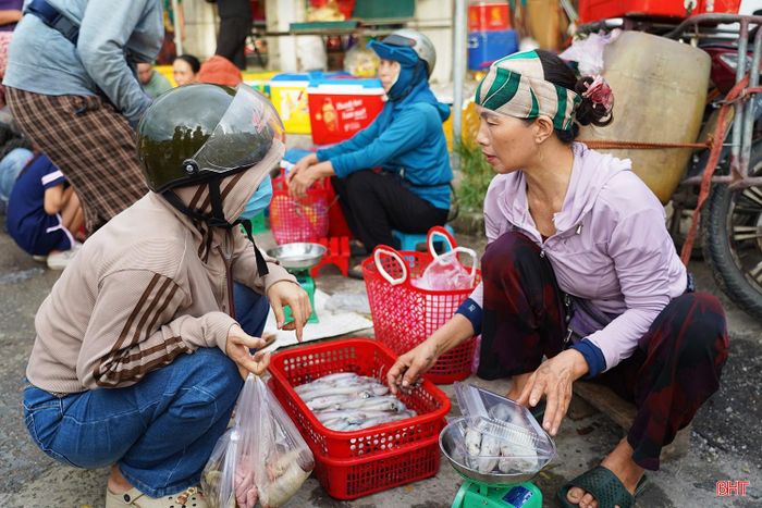 Chị Trần Thị Liên (xã Đồng Tiến) chia sẻ: "Mùa này ngày nào cũng có mực nhưng sản lượng phụ thuộc vào thời tiết. Ngày câu được ít thì khoảng 5-7 kg, ngày nhiều thì khoảng 10-12 kg".
