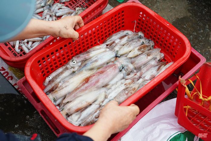 Vào chính vụ, nhiều quầy hải sản ở chợ Đạo chỉ bày bán duy nhất mực nháy bãi ngang. Những rổ mực đầy ắp, còn tươi rói, trắng trong sau khi vừa cập bến thu hút đông đảo người dân và du khách đến mua.