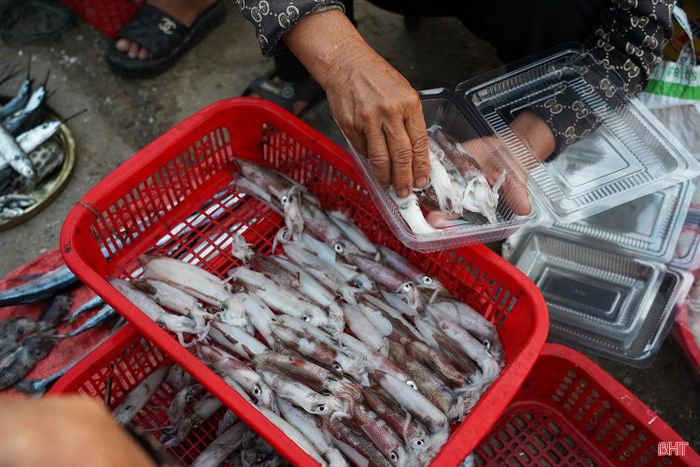 Không khí mua bán nhộn nhịp nhất tại chợ Đạo diễn ra từ khoảng 5 giờ đến hơn 7 giờ sáng. Người dân địa phương, thương lái và du khách từ nhiều nơi tranh thủ đến chợ sớm để lựa chọn những mẻ mực tươi ngon nhất trước khi hết hàng. Mực được xếp cẩn thận vào hộp nhựa hoặc túi bảo quản để khách dễ dàng mang về chế biến hoặc làm quà.