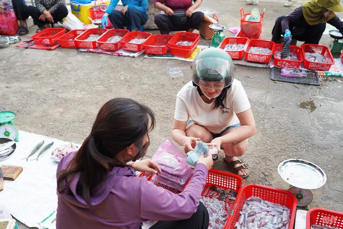 Dù chỉ diễn ra trong vài giờ mỗi buổi sáng, phiên chợ mùa mực vẫn là nét sinh hoạt đặc trưng của ngư dân vùng biển Đồng Tiến.