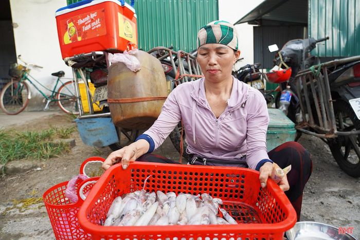 Mực vừa đánh bắt đưa lên bờ nên thịt rất chắc và thơm. Nhiều khách ăn một lần rồi quay lại mua tiếp. Giá bán dao động từ 400.000-550.000 đồng/kg, tùy kích cỡ và sản lượng từng ngày.