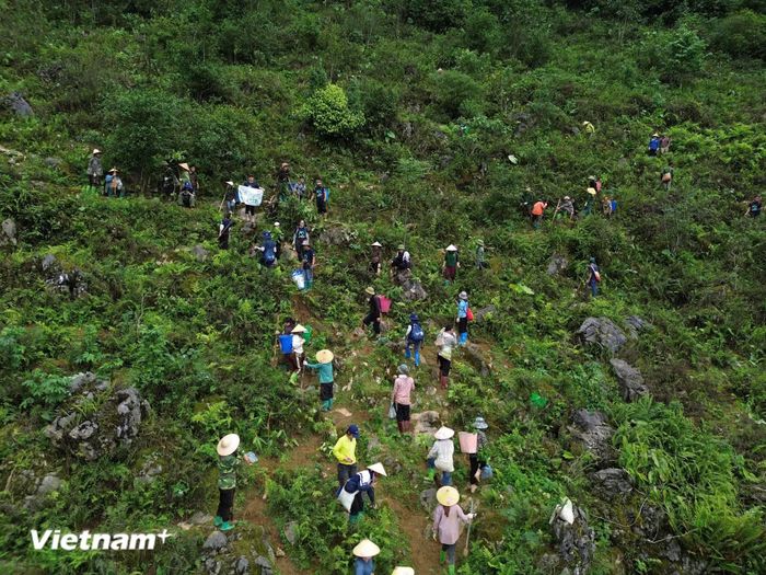 Phát triển chuỗi sản xuất theo hướng kinh tế tuần hoàn, giảm phát thải và hướng tới phát triển bền vững. (Nguồn ảnh: TTXVN)/.