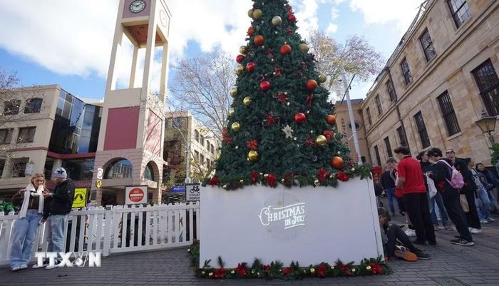 Cây thông Noel được đặt ngay tại ngã ba khu chợ The Rocks, nơi khách tham quan tập trung đến chụp ảnh lưu lại không khí Giáng sinh mùa Đông của Australia. (Ảnh: Lê Đạt/TTXVN)