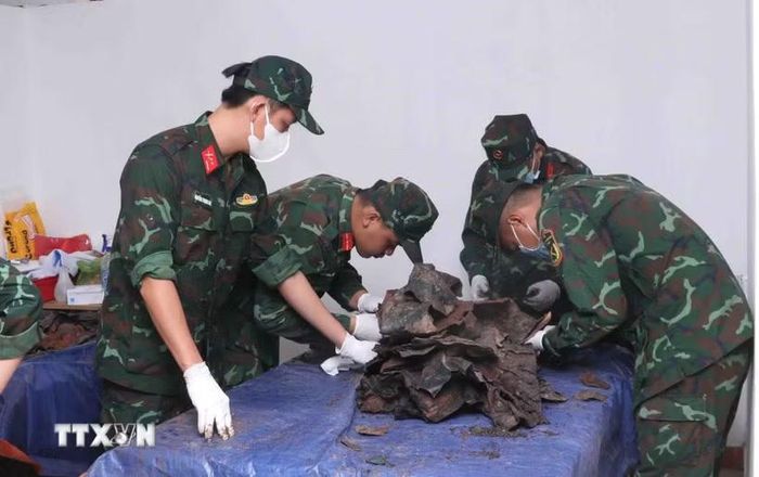 Các quy trình sau khi khai quật hài cốt liệt sỹ được thực hiện cẩn thận, tỉ mỉ, khoa học, đảm bảo an toàn. (Ảnh: Xuân Khu/TTXVN)
