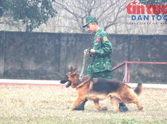 Để cán bộ, huấn luyện viên có thể nhanh chóng tham gia các nhiệm vụ quốc tế, nhà trường đã xây dựng chương trình đào tạo, huấn luyện và luyện tập theo những tiêu chuẩn nào?
