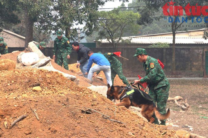 Chó nghiệp vụ luyện tập tham gia tìm kiếm nạn nhân mất tích trong các vụ sập nhà, sạt lở đất.