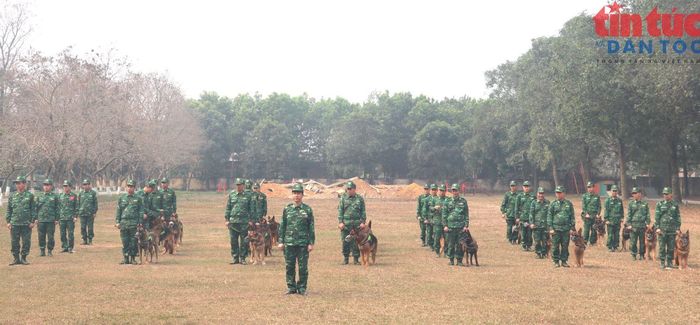 Đội hình huấn luyện viên và chó nghiệp vụ Trường Trung cấp 24 Biên phòng.