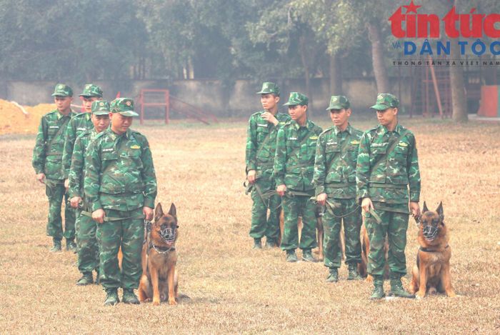 Giờ luyện tập thực hành biểu diễn của huấn luyện viên và chó nghiệp vụ.