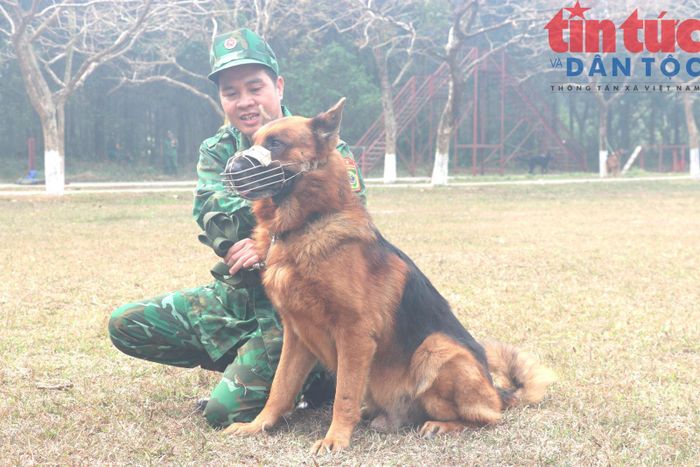 Thiếu tá Nguyễn Văn Hưởng - HLV Khoa giám biệt nguồn hơi và chú chó VAT từng tham gia cứu nạn tại Venezuela.