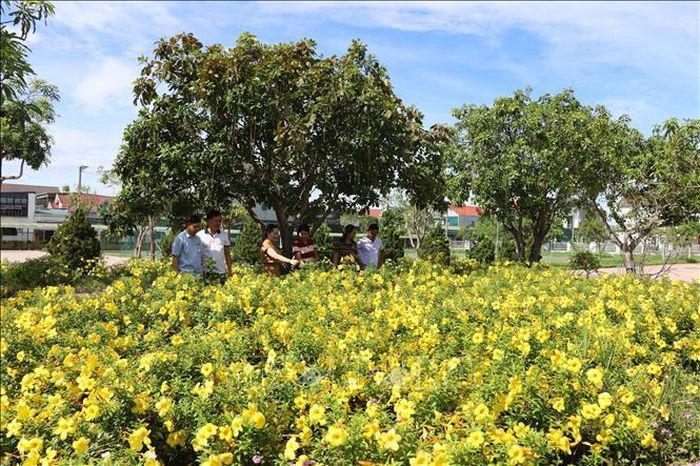 Vườn hoa, cây xanh khoe sắc trong khuôn viên trường THCS Mỹ Châu (xã Mai Phụ, Hà Tĩnh).