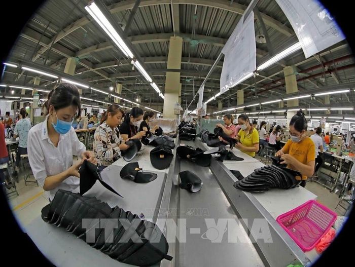 Dây chuyền sản xuất mũ giầy tại Công ty Giầy Hồng An. Ảnh tư liệu (minh họa): TTXVN