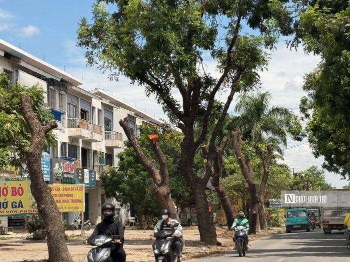 Công trình tập trung mở rộng đường 70 với tổng chiều dài gần 5km, nhằm cải thiện hạ tầng giao thông và tăng khả năng kết nối của khu vực.