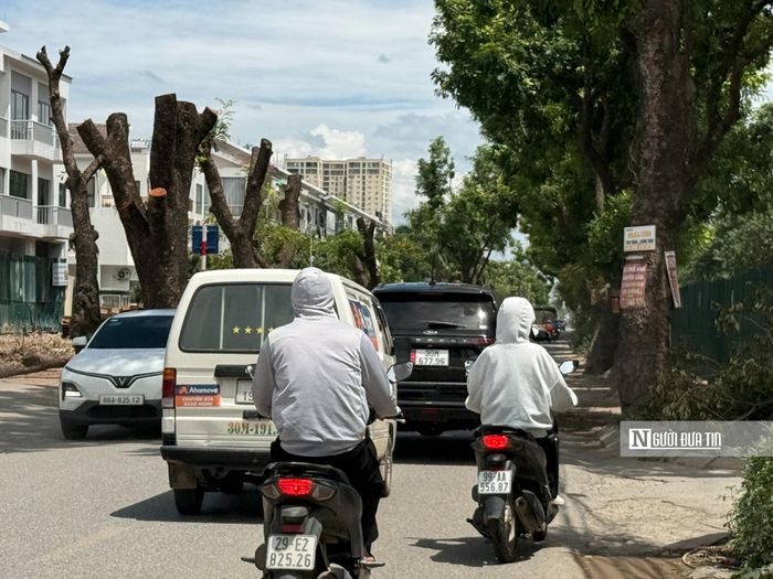 Hiện nay, tuyến đường này có bề rộng hạn chế trong khi mật độ phương tiện, nhất là xe tải và xe container, luôn ở mức cao nên việc mở rộng là rất cấp thiết.