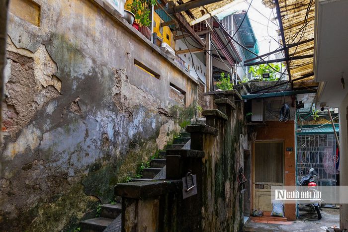 Sau nhiều năm sử dụng, các bậc thang phủ kín rêu phong, trơn trượt mỗi khi mưa, tiềm ẩn nguy cơ mất an toàn.