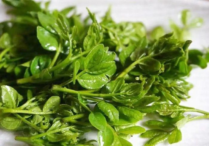 Mầm tiêu Tứ Xuyên cũng có giá trị dinh dưỡng cao và chứa nhiều loại vitamin. Có thể nói, đây là một loại thực phẩm không chỉ thơm ngon mà còn có tác dụng bảo vệ sức khỏe. Ảnh minh họa.