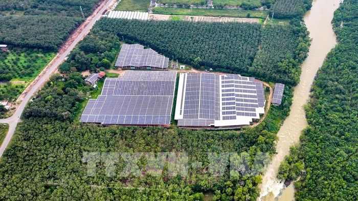 Hệ thống điện mặt trời được lắp đặt tại một cơ sở sản xuất trên địa bàn xã Dương Minh Châu, tỉnh Tây Ninh. Ảnh: Minh Phú – TTXVN