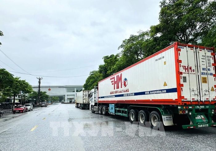 Đoàn xe container chở hàng chờ làm thủ tục tại khu vực Cửa khẩu quốc tế Thanh Thủy (Tuyên Quang). Ảnh: Minh Tâm - TTXVN 