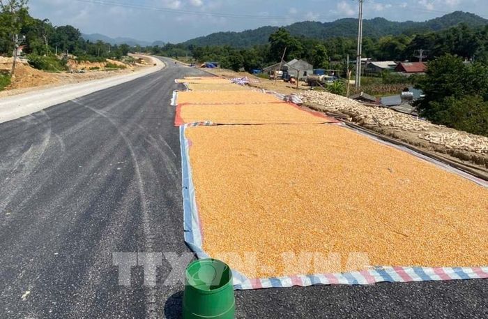Nông sản được người dân sinh phơi trên tuyến cao tốc Đồng Đăng – Trà Lĩnh đang thi công thuộc địa phận xã Na Sầm, tỉnh Lạng Sơn. Ảnh: TTXVN phát