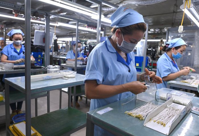 AI là cơ hội lớn để Việt Nam nâng cao năng suất lao động. Ảnh: Hoàng Anh.