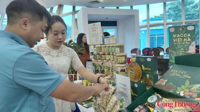 Với lợi thế về đất đai, khí hậu và các sản phẩm đặc thù như cà phê Arabica, mắc ca, lúa chất lượng cao, Điện Biên đang lựa chọn hướng phát triển nông nghiệp xan, chế biến sâu để nâng sức cạnh tranh trong bối cảnh thị trường ngày càng khắt khe.