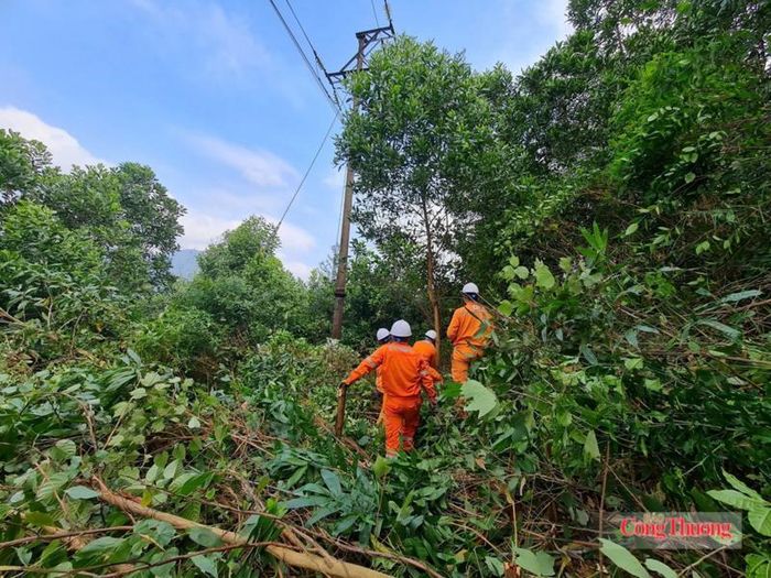 Các lực lượng đã thực hiện chặt hạ, tỉa cành đối với toàn bộ cây cối nằm trong và sát hành lang lưới điện. Ảnh: Cao Thảo