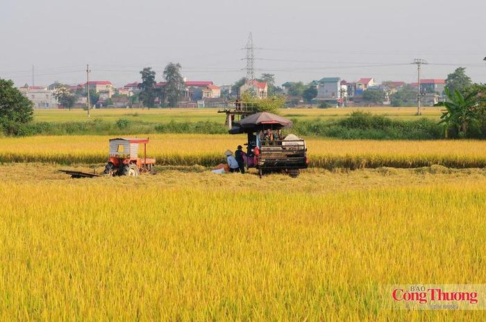 Trong bối cảnh Việt Nam cam kết đạt phát thải ròng bằng “0” vào năm 2050, ngành nông nghiệp phải chuyển đổi mạnh mẽ theo hướng xanh hơn.