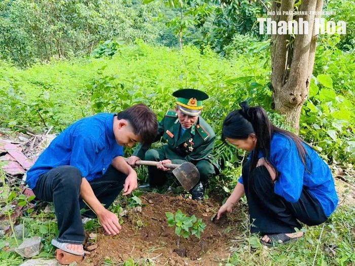 Đoàn viên, thanh niên và hội viên Hội Cựu chiến binh xã Mường Lát trồng cây hưởng ứng mô hình “Hàng cây thanh niên”.