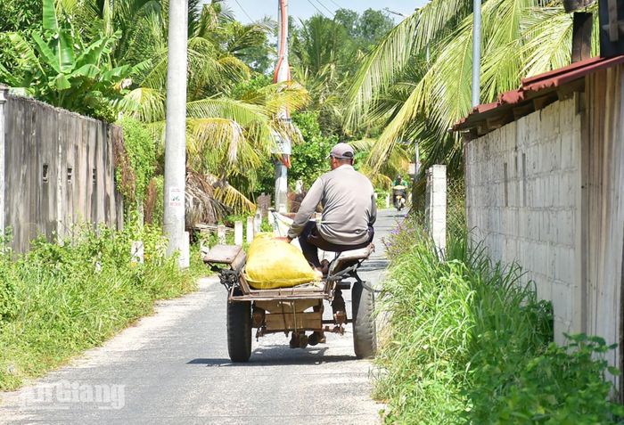 Xe ngựa len lỏi vào những nẻo đường quê.