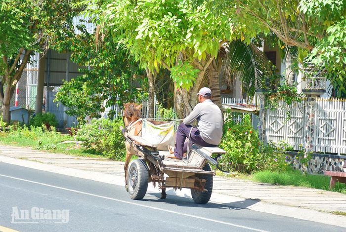 Anh Nonh Oanh No tiếp tục với cuộc mưu sinh.
