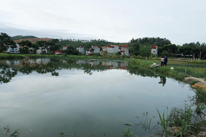 Ao cá nhà ông Bùi Văn Phóng cách khu dân cư khoảng 200m.
