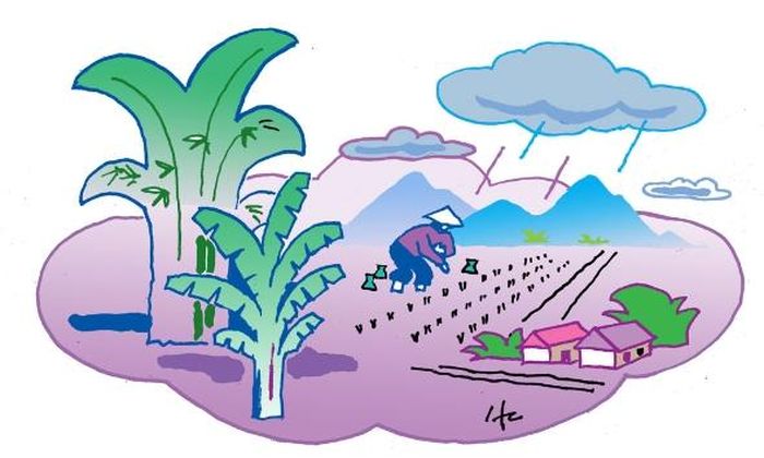 Minh họa: Hà Huy Chương