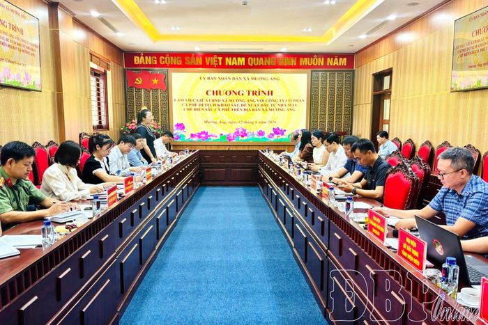 Xã Mường Ảng làm việc với Công ty Cổ phần cà phê Detech về việc xây dựng nhà máy chế biến trên địa bàn.