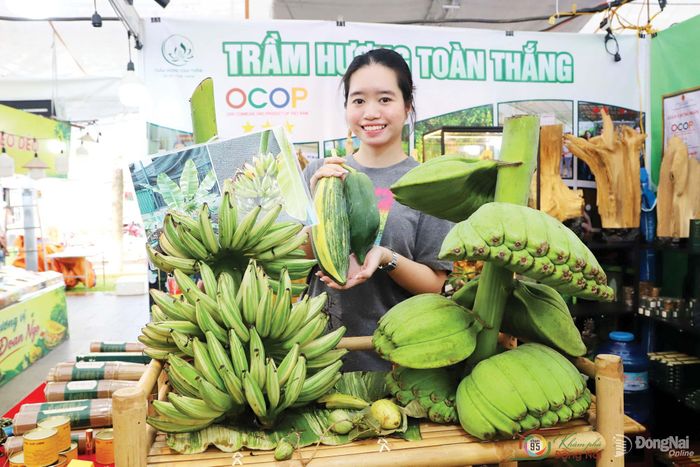 Ngoài thế mạnh về chuối xuất khẩu, nhiều giống chuối đặc sản độc lạ được giới thiệu tại Lễ hội Trái cây Long Khánh năm 2026.