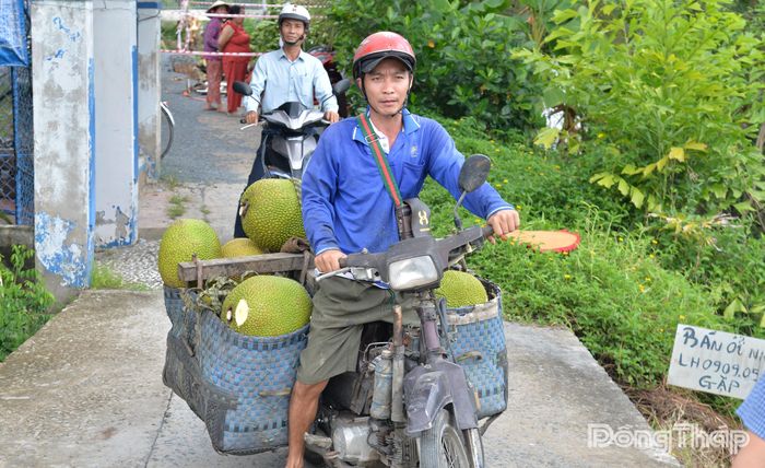 Sau thời gian chạm đáy, hiện giá mít dần phục hồi.