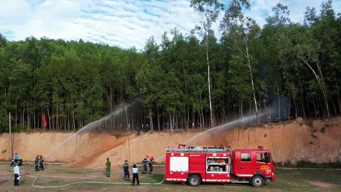 Các lực lượng đã phối hợp chặt chẽ, triển khai hiệu quả chữa cháy rừng trong thực binh diễn tập tác chiến ở phường Hoài Nhơn Đông. Ảnh: Đức Dũng