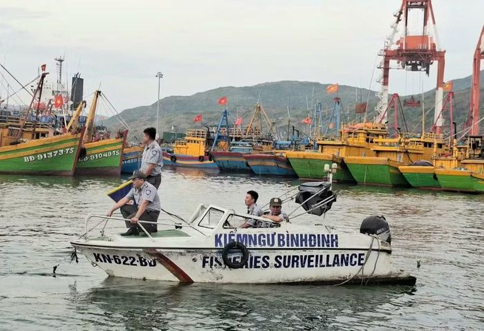 Lực lượng kiểm ngư tuần tra, kiểm soát tại Cảng cá Quy Nhơn (phường Quy Nhơn). Ảnh: K.H
