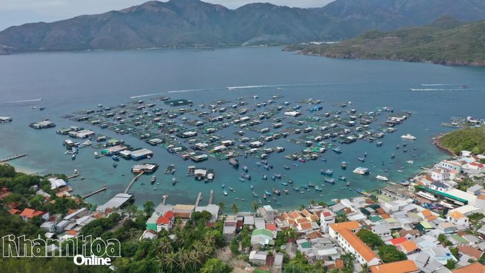 Một góc vịnh Nha Trang. Ảnh: THÁI THỊNH
