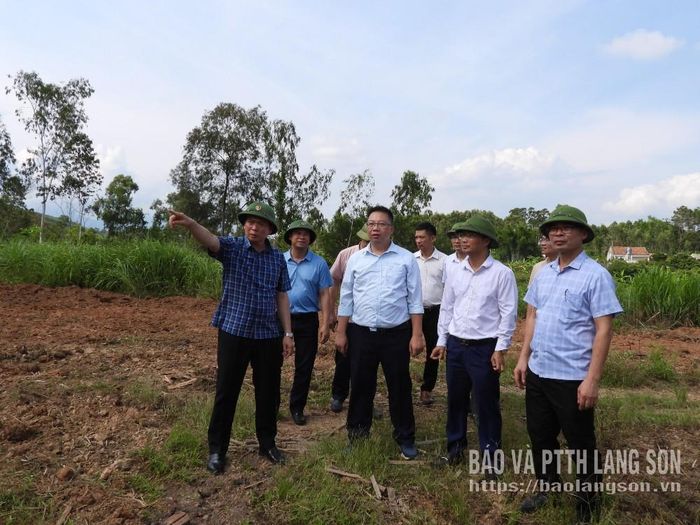 Đồng chí Phó Chủ tịch Thường trực UBND tỉnh kiểm tra thực tế khu vực triển khai thi công tại dự án cụm công nghiệp Na Dương 2