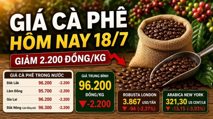 Hình minh họa.
