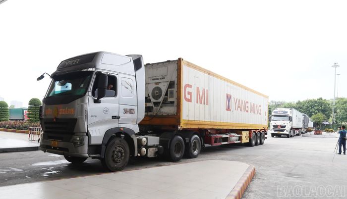 Việc triển khai đồng bộ các giải pháp tạo thuận lợi thương mại góp phần duy trì dòng chảy hàng hóa thông suốt qua cửa khẩu Lào Cai, thúc đẩy xuất khẩu nông sản Việt Nam.