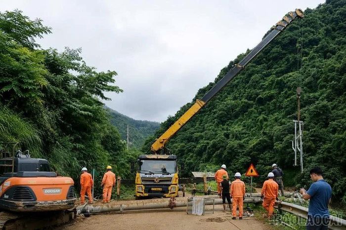 Điện lực Nghĩa Lộ huy động nhân lực, phương tiện và vật tư khẩn trương triển khai dựng lại cột điện trung thế bị đổ do mưa lũ tại xã Khao Mang.