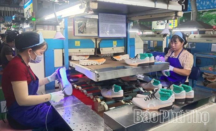 Sản phẩm giày của Công ty cổ phần Giày Vĩnh Yên được xuất khẩu sang thị trường các nước EU, Mỹ, Hàn Quốc, Nhật Bản.